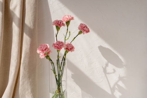 【2025】母の日に贈る花7選！種類別おすすめ商品は？花言葉一覧も紹介！