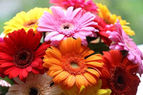 母の日に贈る花12選 種類別おすすめ商品は 花言葉一覧も紹介 ままのて 母の日に贈る花12選 種類別おすすめ商品は 花言葉一覧も紹介 ままのて