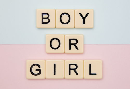 【産婦人科医監修】エコー写真で性別はいつ判明?男の子と女の子の見分け方&画像集!判定間違いもある?