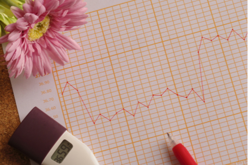 よもぎ蒸しは妊活に効果があるの いつのタイミングでやるといい 頻度は ままのて