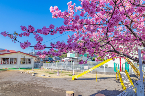 幼稚園の説明会の服装や持ち物は？子連れで参加はOK？入園説明会の疑問を解決！