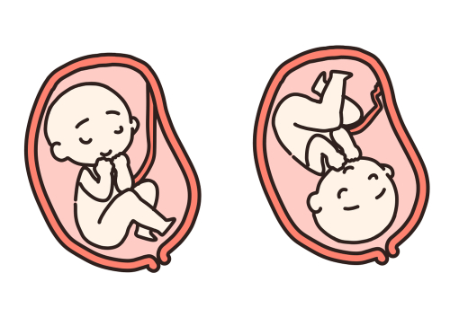 逆子に効果抜群の2つのツボ！ツボ刺激の方法と注意点とは【産婦人科医監修】