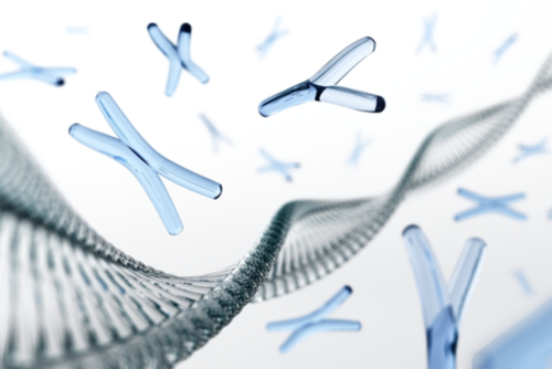 【産婦人科医監修】染色体異常の原因、種類は?検査方法や流産の確率、疾患の有無について解説