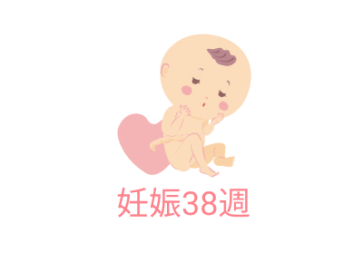 妊娠38週｜赤ちゃんの成長と妊婦の身体の変化・過ごし方【イラスト・写真付き】