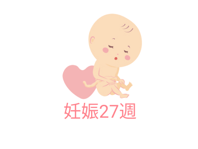 妊娠27週｜お腹が張るママも。胎児の体重や胎動、妊婦の症状【エコー写真】