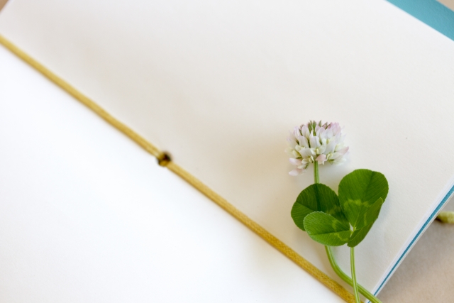 育児日記におすすめの商品10選！1歳からはじめる？3年用もあるの？